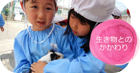 生き物との かかわり