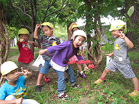 3歳児 幼児教室（パンダクラブ）